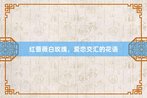 红蔷薇白玫瑰，爱恋交汇的花语