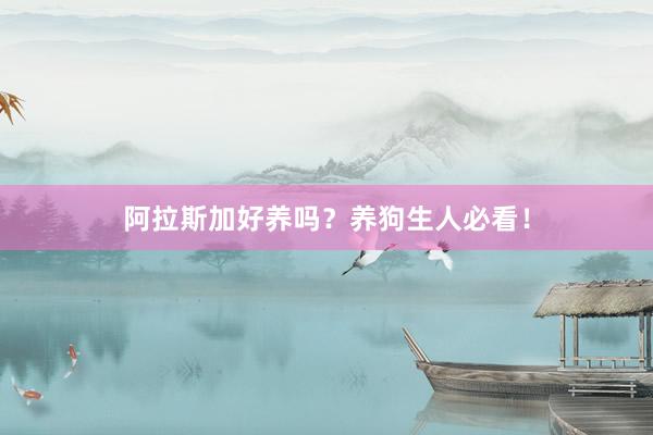 阿拉斯加好养吗？养狗生人必看！