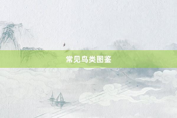 常见鸟类图鉴