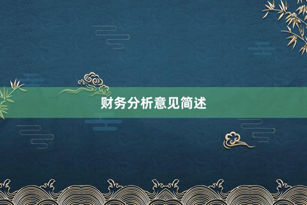 财务分析意见简述