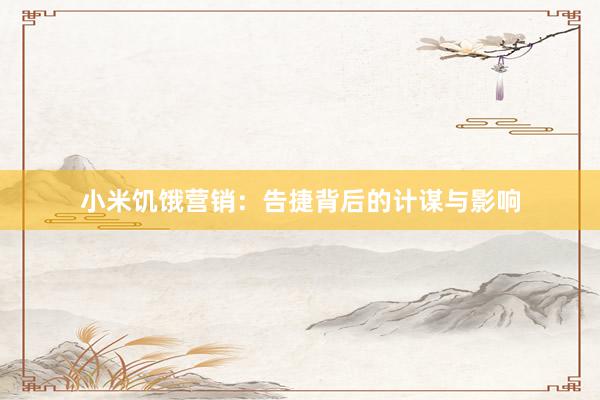 小米饥饿营销：告捷背后的计谋与影响